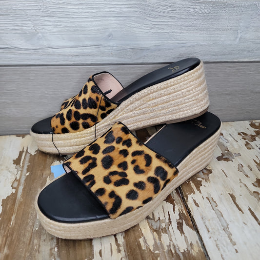 Brand - J.Crew